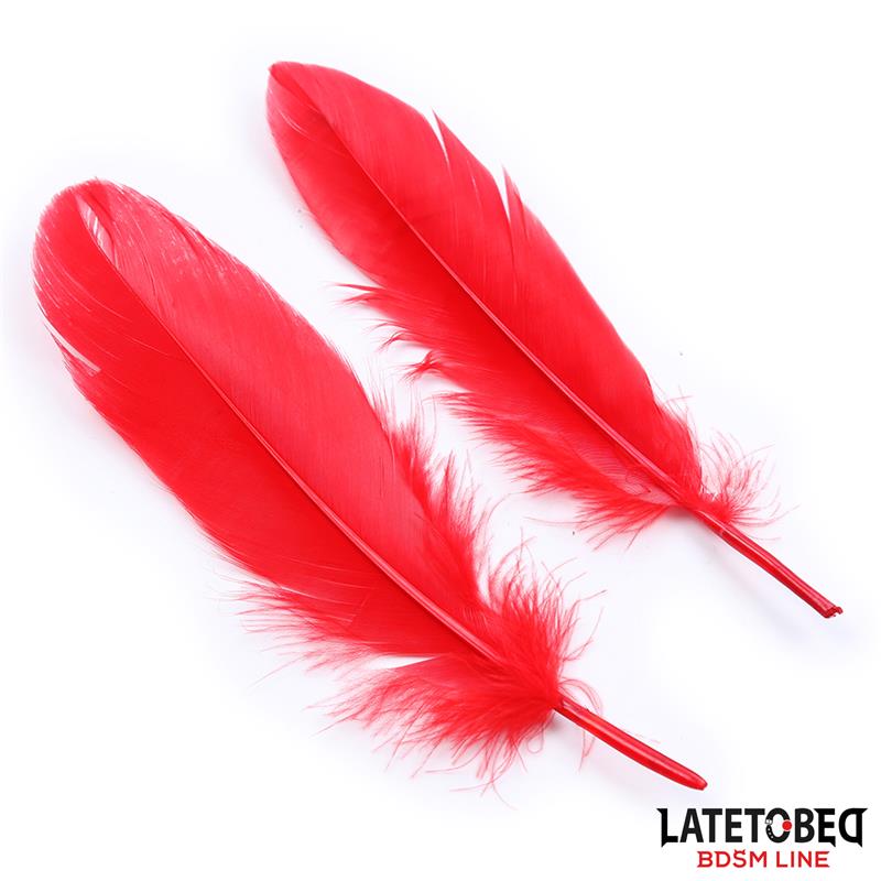 3 Pieces Bondage Set Cuffs, Eye Mask and Feathers