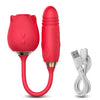 Double Seek - Sucker and Vibrating Stimulator