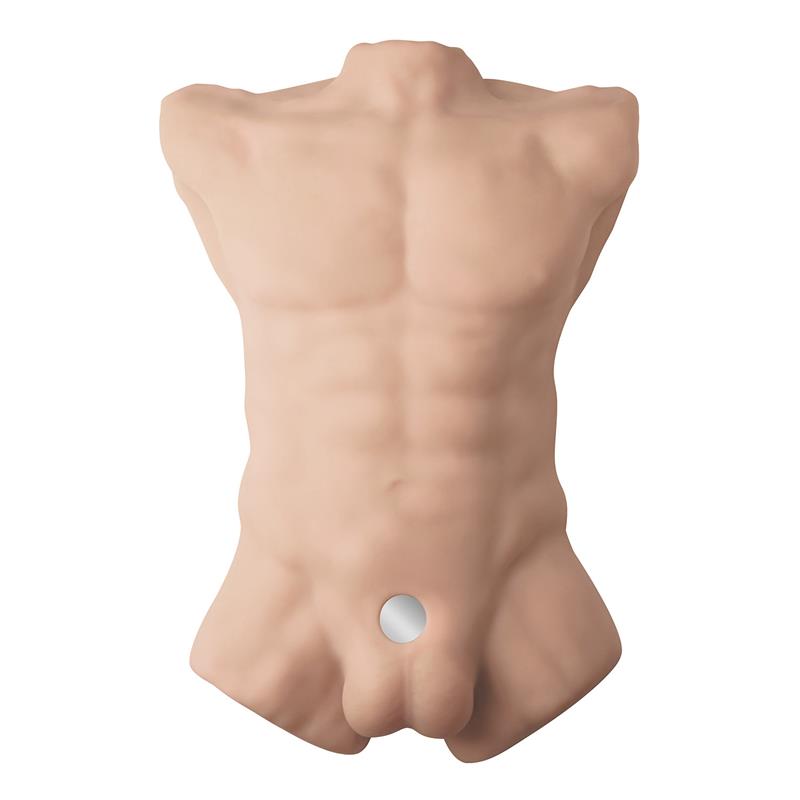 Apollo L Torso 54 cm