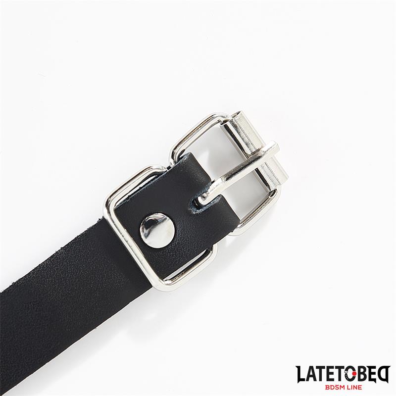 Buckle fastener Ring with Leash