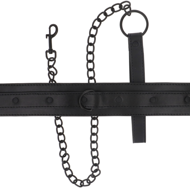 Intense - Fetish Vegan Leather Collar